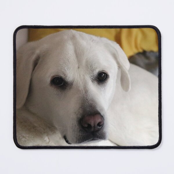 Item preview, Miss Ellie designed and sold by Alyce Taylor.