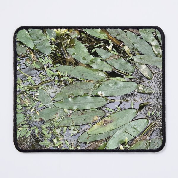 Item preview, Leaves on the water designed and sold by agnessa38.