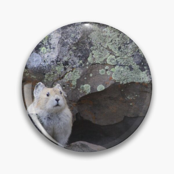 Item preview, Peek At You designed and sold by Alyce Taylor.