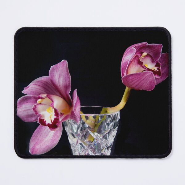 Item preview, Pretty pink Cymbidium Orchid in a Vase,on black. designed and sold by sunnypicsoz.