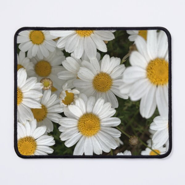 Item preview, Spring - Daisies designed and sold by agnessa38.