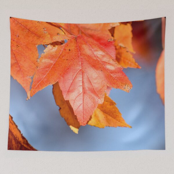 Item preview, Nature's Pigment designed and sold by umeimages.