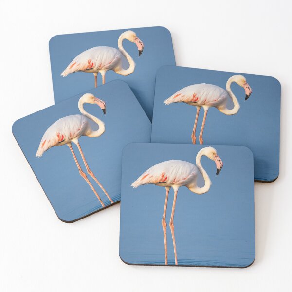 Item preview, Greater Flamingo designed and sold by Opethian666.