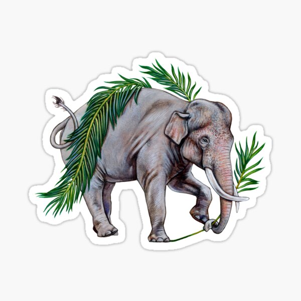 Asian Elephant with Palm Fronds Sticker