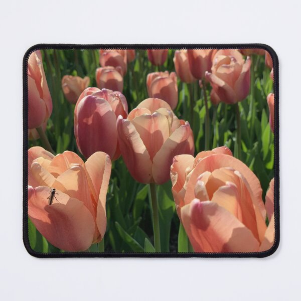 Item preview, Spring - Sunny Tulips designed and sold by agnessa38.