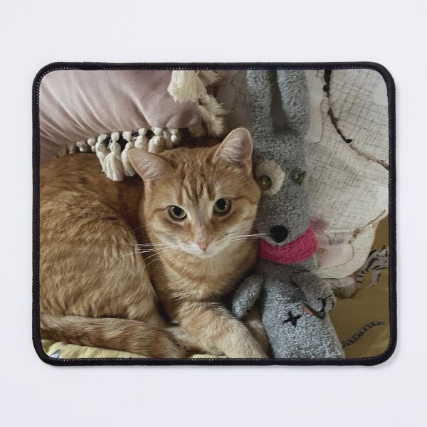 Item preview, Ginger Kitty and friend designed and sold by Redmist65.