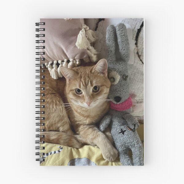 Aperçu de l'œuvre Ginger Kitty et ami créée et vendue par Redmist65.