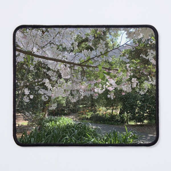Item preview, Spring - Cherry Blossom designed and sold by agnessa38.