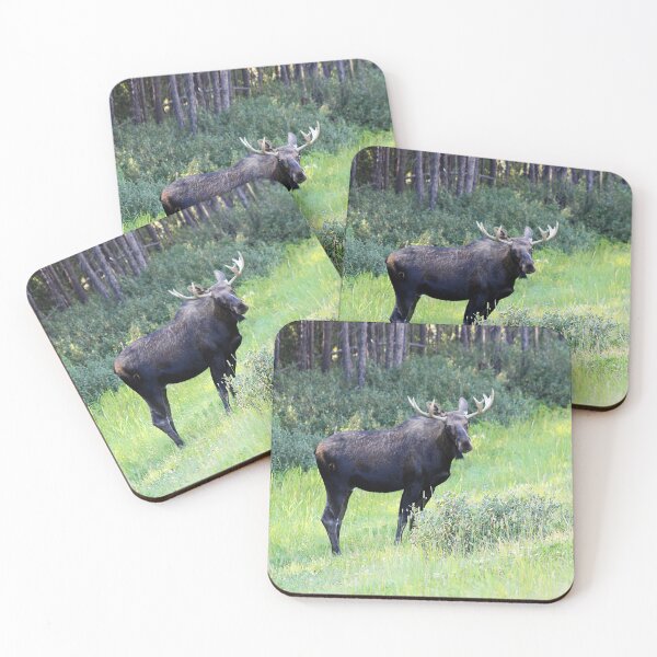 Item preview, Moose designed and sold by Alyce Taylor.