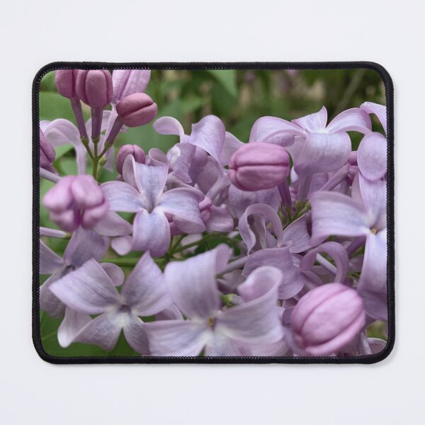 Item preview, Spring - Lilac designed and sold by agnessa38.