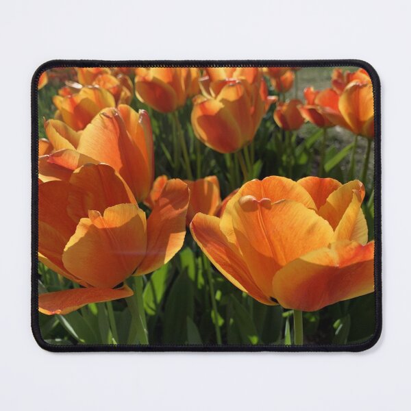 Item preview, Spring - Orange Tulip designed and sold by agnessa38.