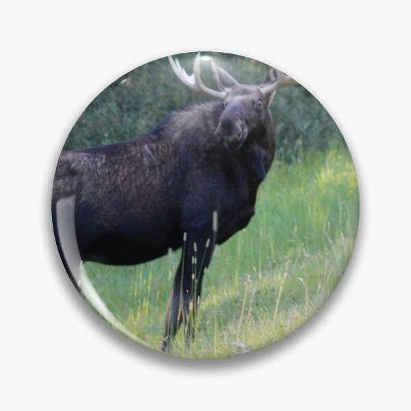 Item preview, Moose In The Meadow designed and sold by Alyce Taylor.