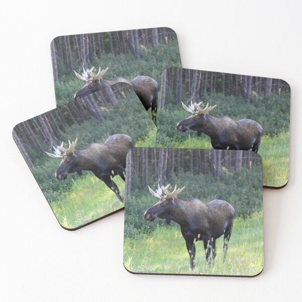 Item preview, Moose in Kananaskis designed and sold by Alyce Taylor.