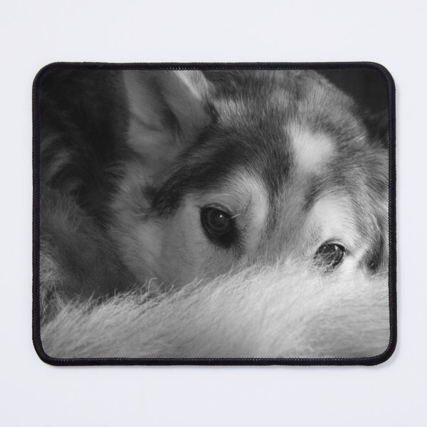Item preview, Husky designed and sold by jenstever.