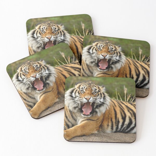 Item preview, Cat-i-tude designed and sold by Maddie4Real.