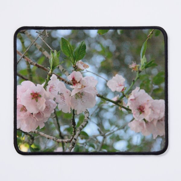 Item preview, Spring - Cherry Blossom designed and sold by agnessa38.