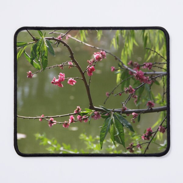 Item preview, Spring - new beginning designed and sold by agnessa38.