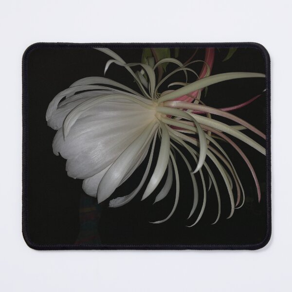Item preview, Night Blooming designed and sold by agnessa38.