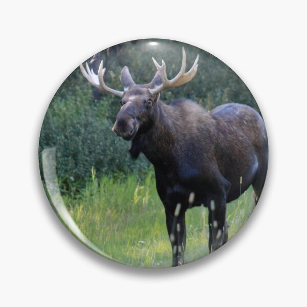 Item preview, Canadian Moose designed and sold by Alyce Taylor.