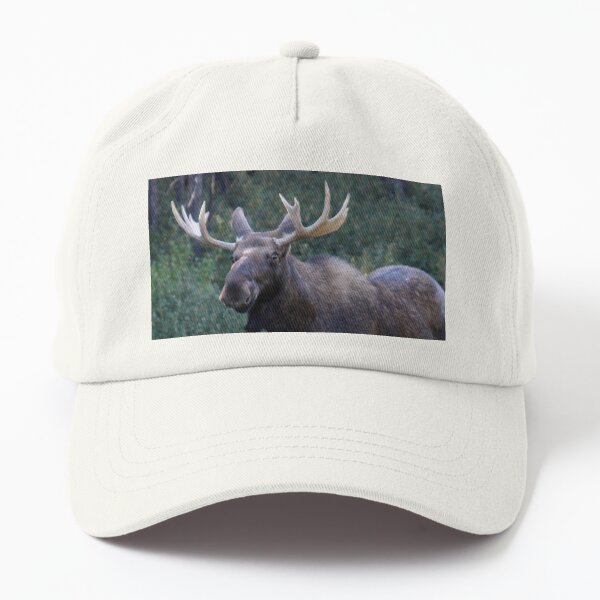 Canadian Moose Dad Hat