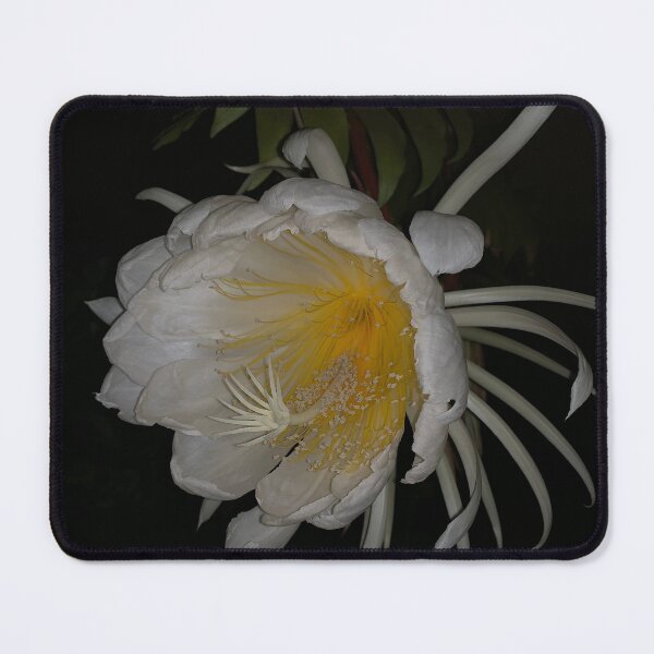 Item preview, Night flower designed and sold by agnessa38.