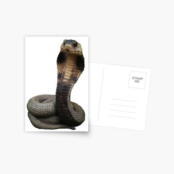 Item preview, Snake   designed and sold by flashcompact.
