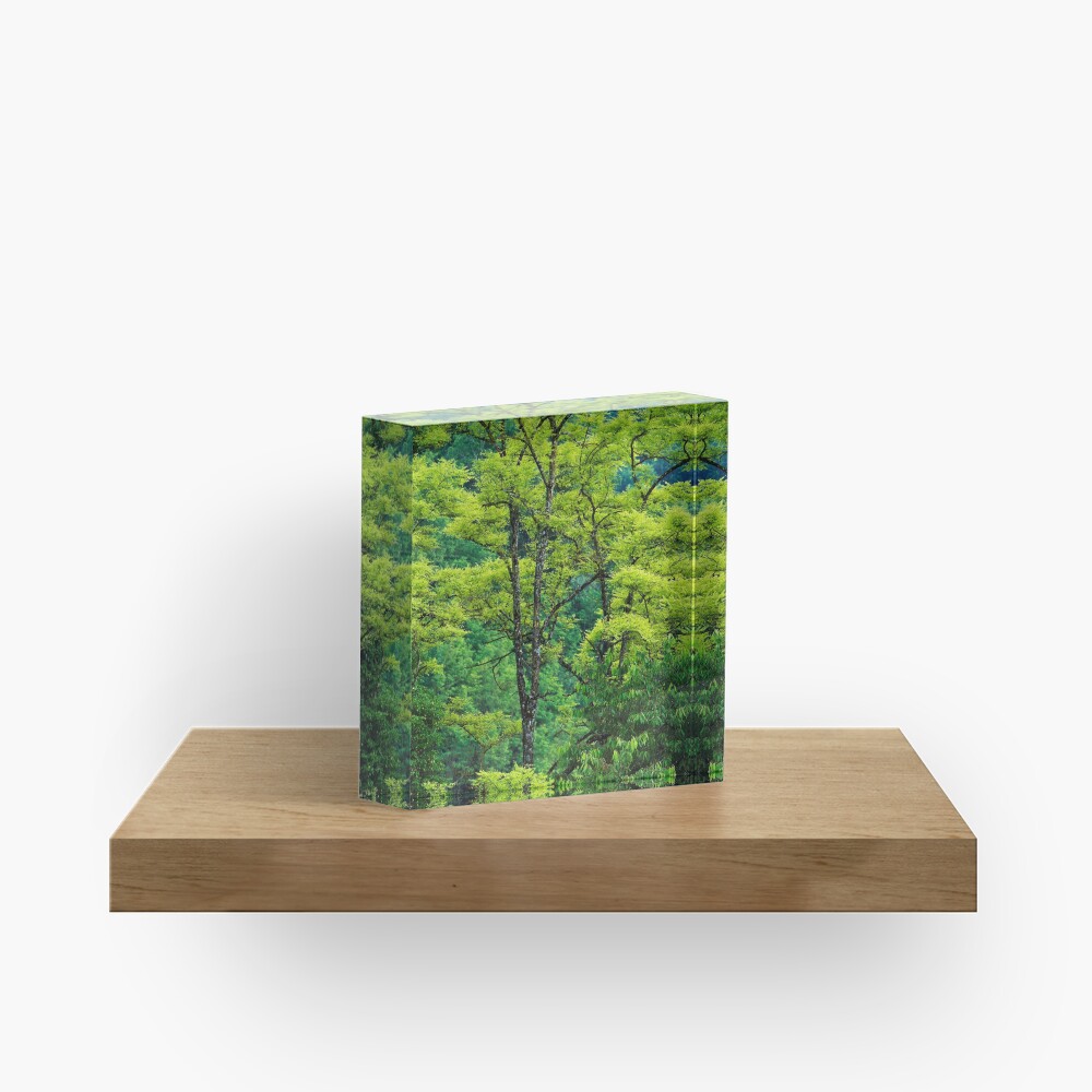 Item preview, Acrylic Block designed and sold by patmo.