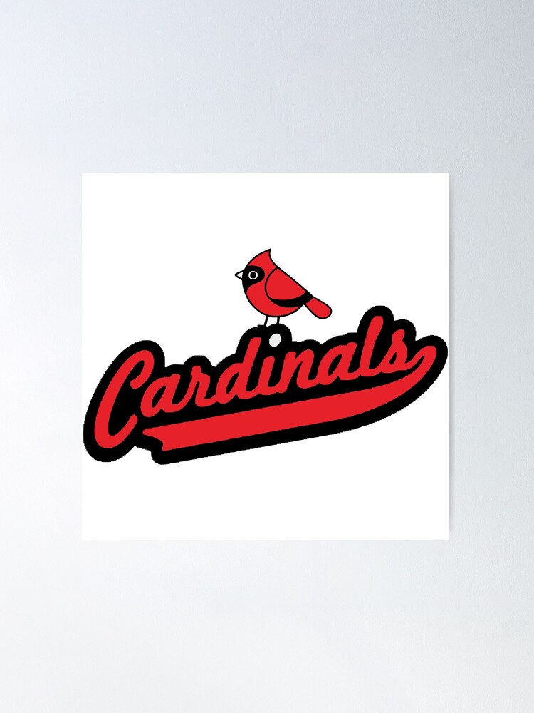 cardinals kids shirt, stl baseball fredbird custom raglan t-shirt