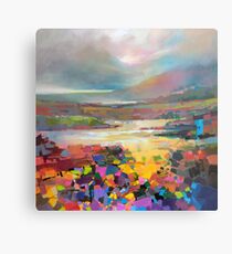 Diminuendo Metal Print