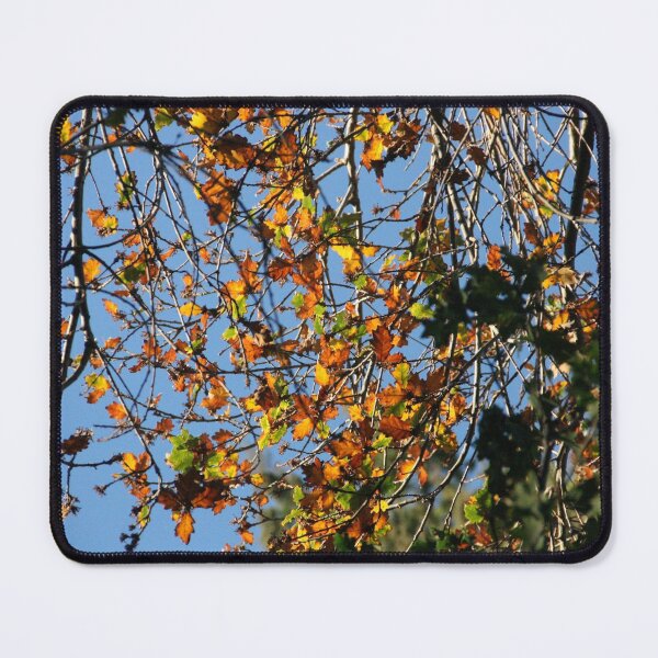 Item preview, Fall colors designed and sold by agnessa38.