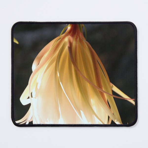 Item preview, Night blooming designed and sold by agnessa38.