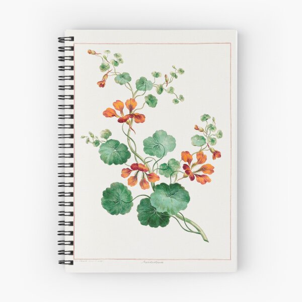 Item preview, Nasturtium, collection of Botanicals designed and sold by mycloudzdesign.