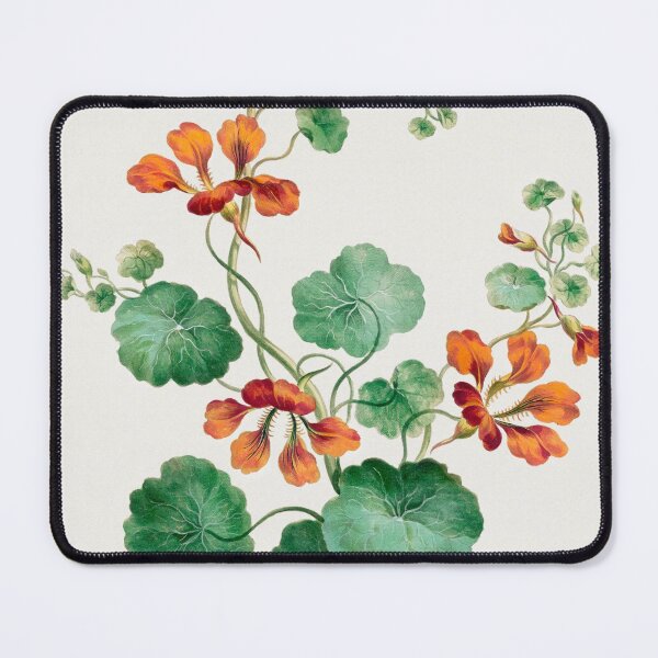 Item preview, Nasturtium, collection of Botanicals designed and sold by mycloudzdesign.