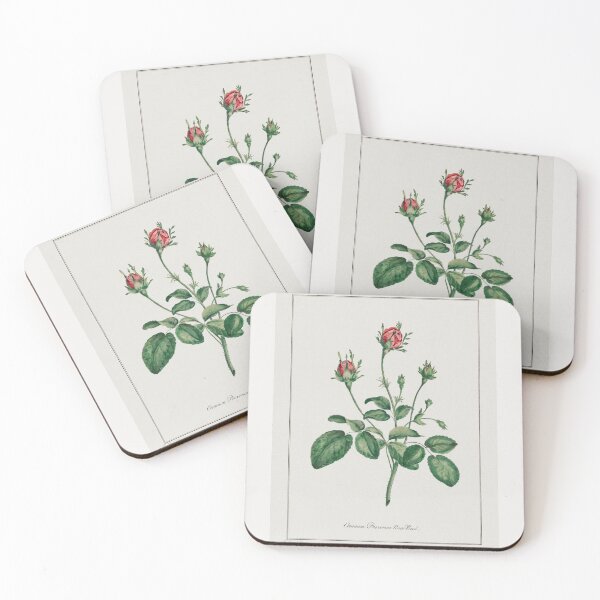 Item preview, Rose buds, collection of Botanicals designed and sold by mycloudzdesign.