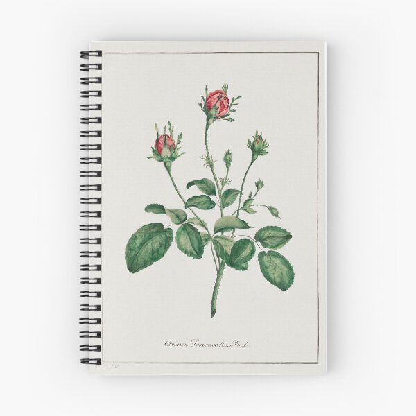Item preview, Rose buds, collection of Botanicals designed and sold by mycloudzdesign.