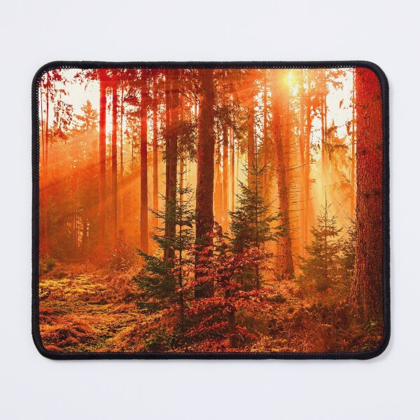 Item preview, Forest Scene designed and sold by HeadRubble.