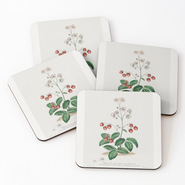 Item preview, Strawberry plant with fruits, collection of Botanicals designed and sold by mycloudzdesign.