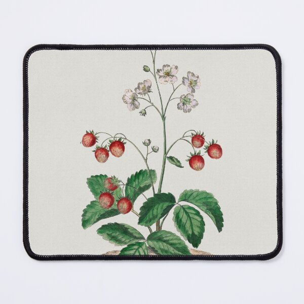 Item preview, Strawberry plant with fruits, collection of Botanicals designed and sold by mycloudzdesign.