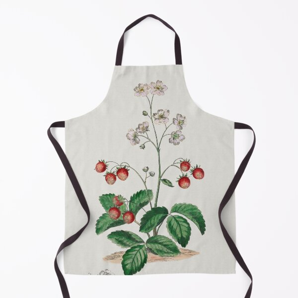 Item preview, Strawberry plant with fruits, collection of Botanicals designed and sold by mycloudzdesign.