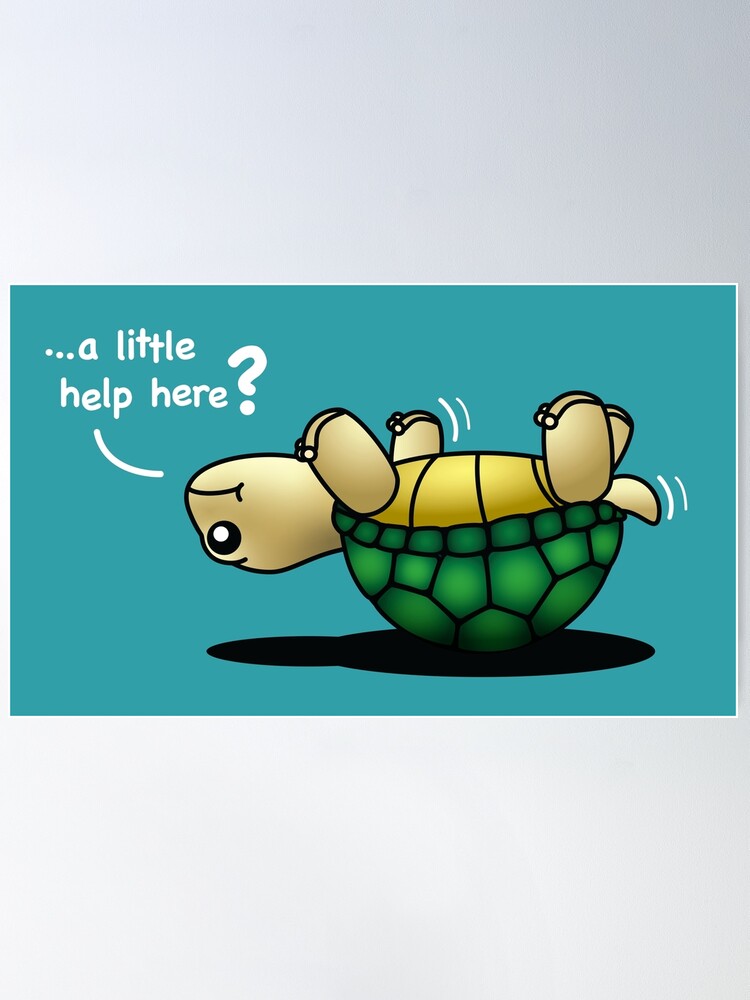 Ophelia Explains It All: Stupid Cute Alert! Tiny Turtle!