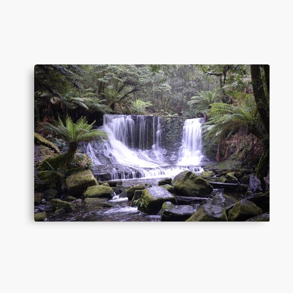 Horseshoe Falls - Mt Field National Park - Tasmania Canvas Print