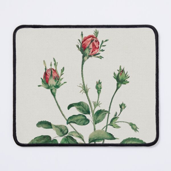 Item preview, Rose buds, collection of Botanicals designed and sold by mycloudzdesign.