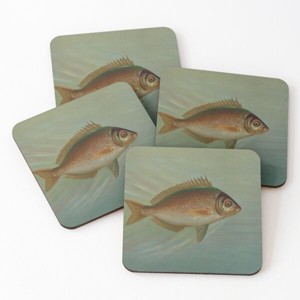 Item preview, The Blackfish or Tautog by John L. Petrie designed and sold by badmemes.