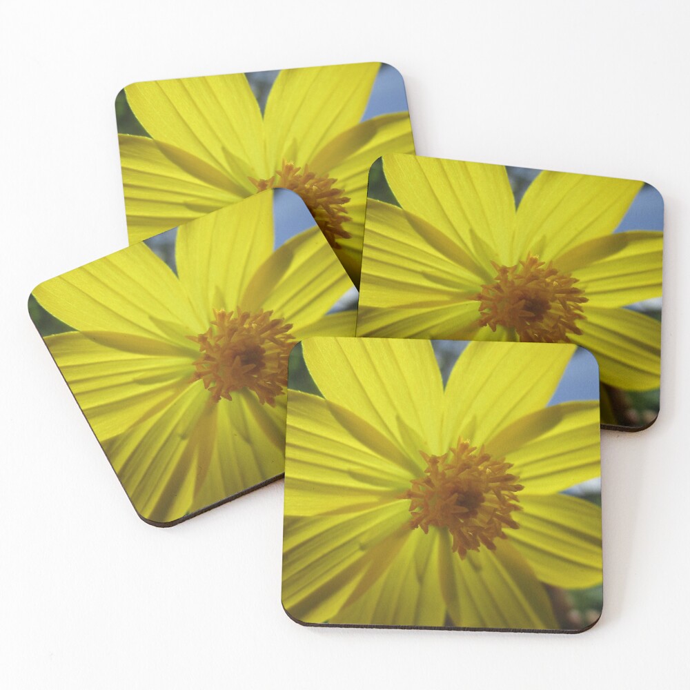 Item preview, Coasters (Set of 4) designed and sold by NKDev.