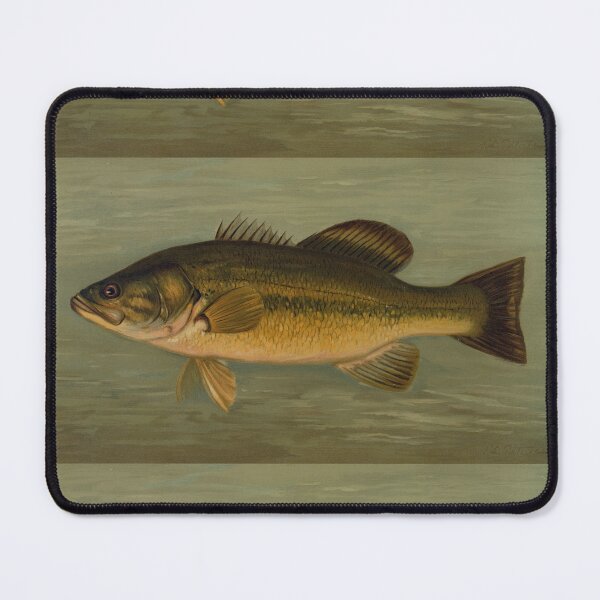 Item preview, Large Mouthed Bass by John L. Petrie designed and sold by badmemes.
