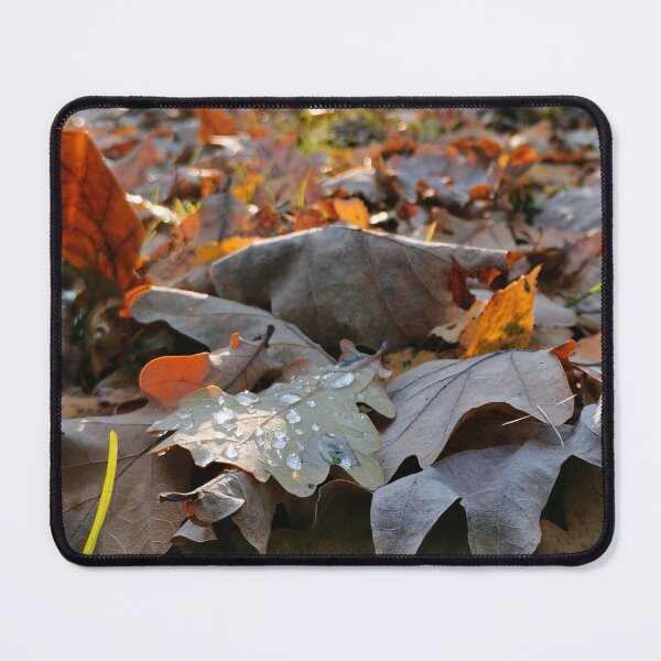 Item preview, Autumn Sunset in the Forest designed and sold by denis-romanov.