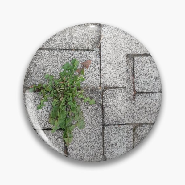 Item preview, plant in rock wall plant on the street designed and sold by sjkimphoto.