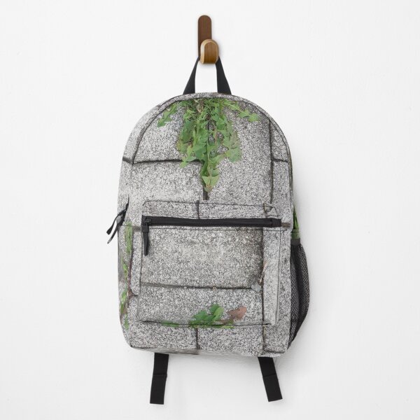 Item preview, plant in rock wall plant on the street designed and sold by sjkimphoto.