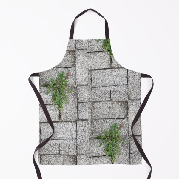 Item preview, plant in rock wall plant on the street designed and sold by sjkimphoto.