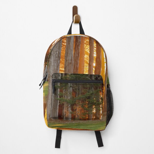 Item preview, Dramatic Sunset of Monterey Cypress Trees over the Presidio in San Francisco, California. designed and sold by yhelfman.
